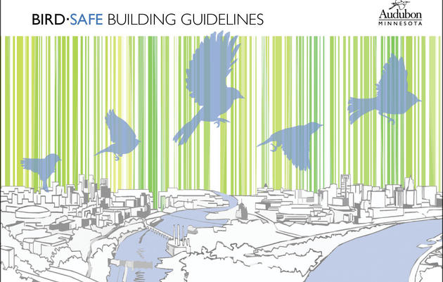 BirdSafe Buildings