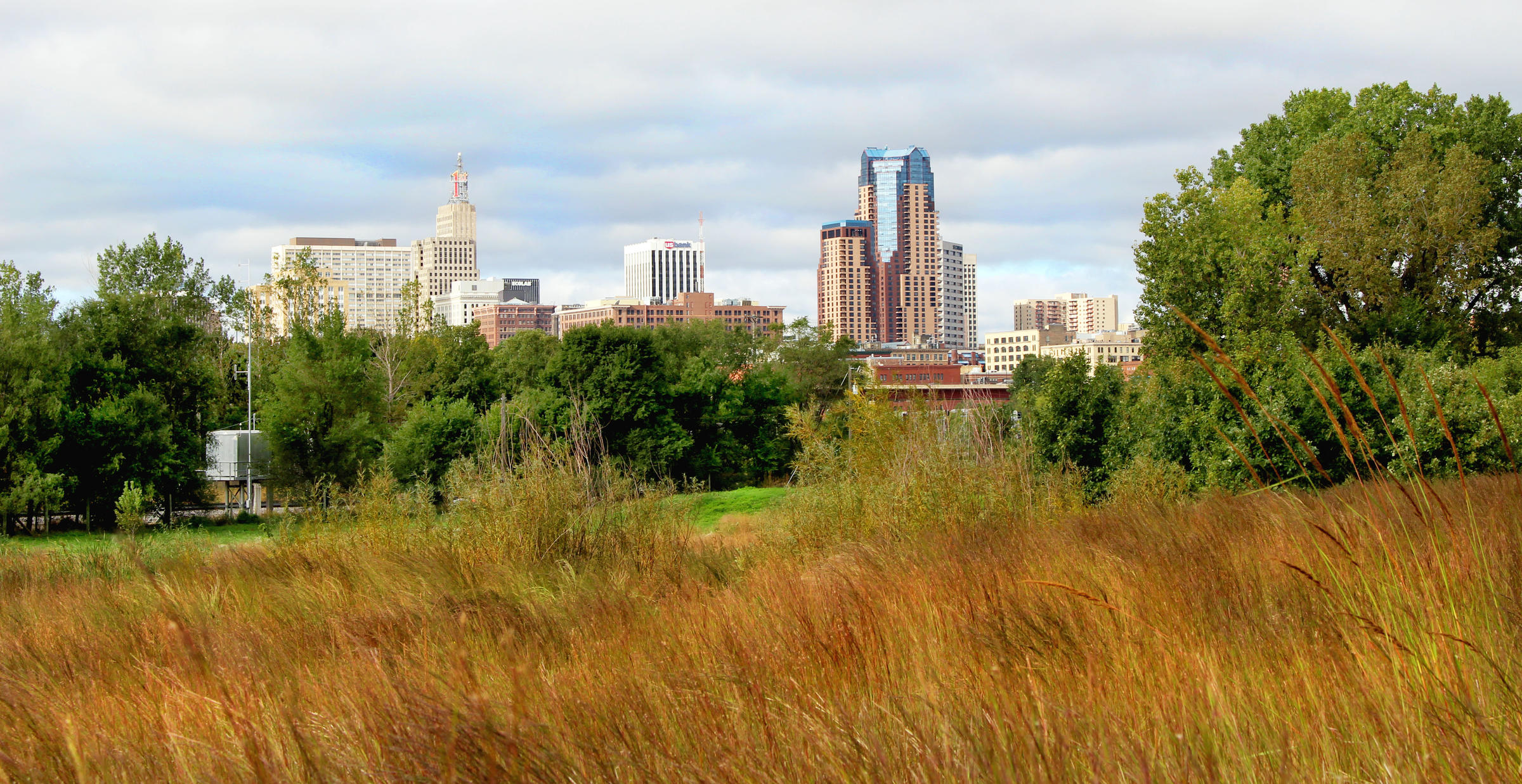 Photo of St. Paul from Bruce Vento Nature Reserve